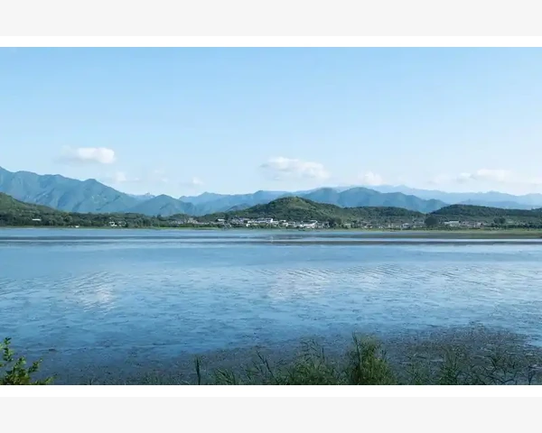 B2B电子商务交易模式实战应用与核心价值