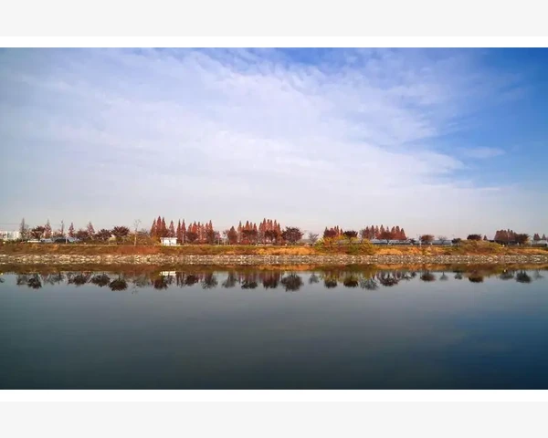 咳嗽化痰针灸：缓解痰湿之苦，恢复呼吸舒畅